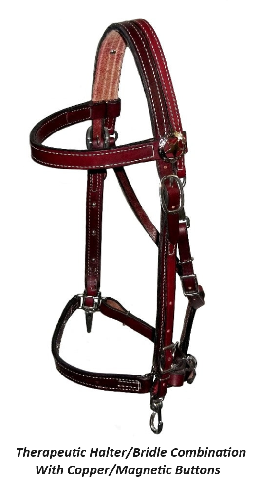 http://thecrothersway.com/cdn/shop/files/Bridle-Leather_1200x1200.png?v=1699133652