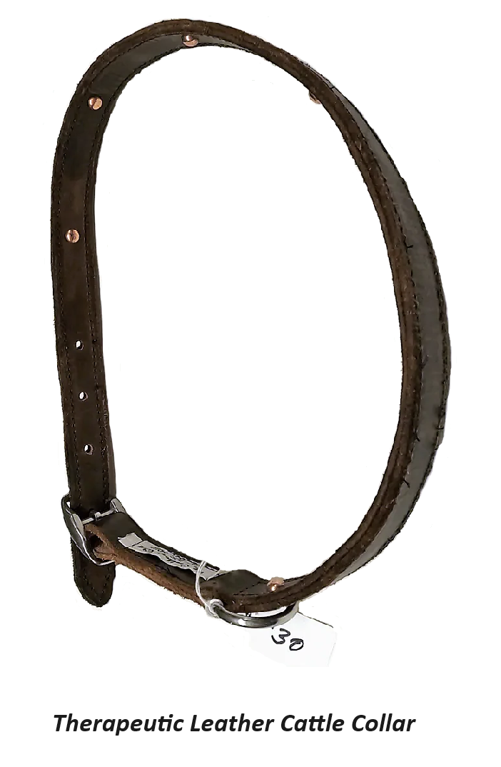 The Therapeutic Leather Cattle Collar