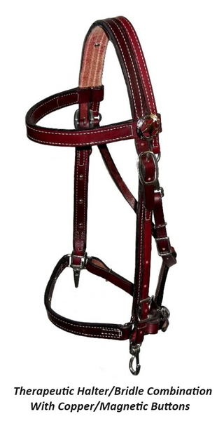 Dura-Tech All Weather Trail Halter and Bridle Combo